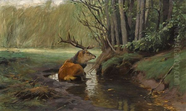 Hirsch In Der Suhle Oil Painting by Wilhelm Friedrich Kuhnert