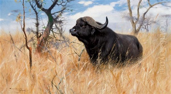 Cape Buffalo Oil Painting by Wilhelm Friedrich Kuhnert