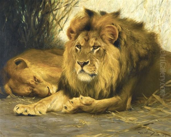 Resting Lions by Wilhelm Friedrich Kuhnert