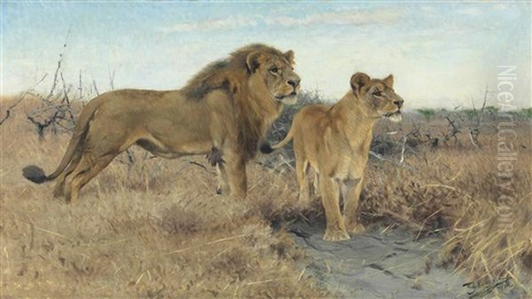 Lions On The Plains Of Africa Oil Painting by Wilhelm Friedrich Kuhnert