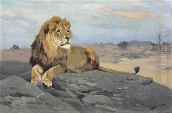 Lion Resting Oil Painting by Wilhelm Friedrich Kuhnert