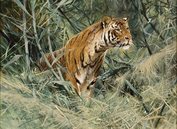 Tiger Oil Painting by Wilhelm Friedrich Kuhnert