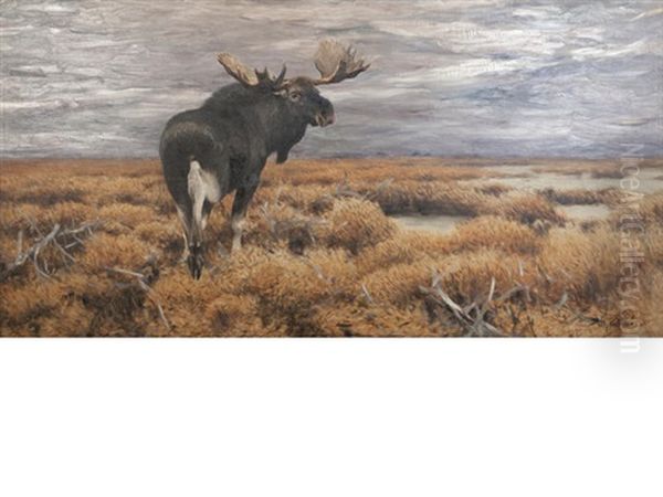 Moose In The Swedish Highlands Oil Painting by Wilhelm Friedrich Kuhnert