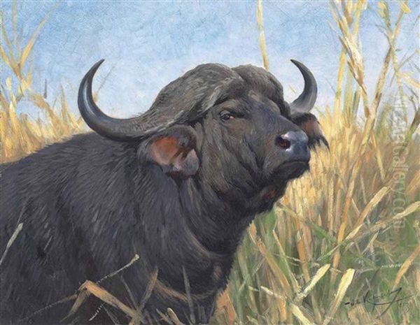 A Buffalo Oil Painting by Wilhelm Friedrich Kuhnert