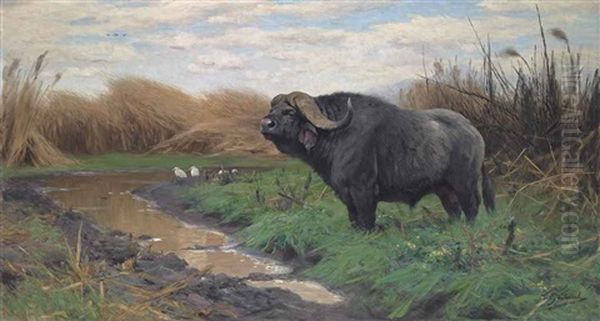 A Buffalo In A Marsh Oil Painting by Wilhelm Friedrich Kuhnert