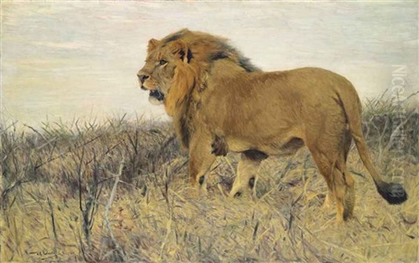 A Lion Oil Painting by Wilhelm Friedrich Kuhnert