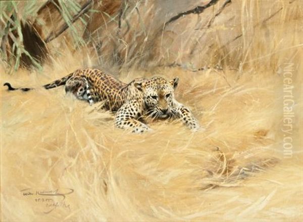 Leopard Oil Painting by Wilhelm Friedrich Kuhnert