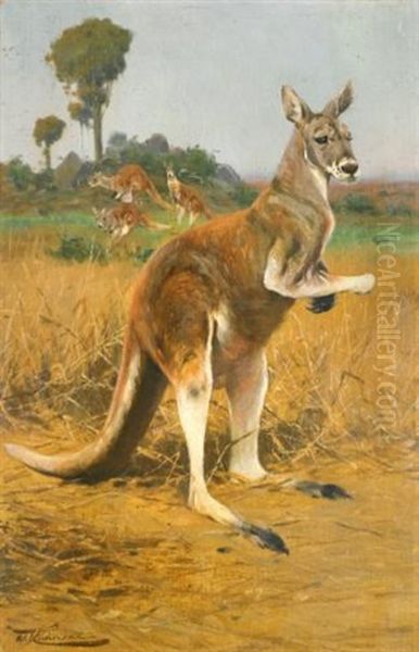 Red Kangaroos In The Outback Oil Painting by Wilhelm Friedrich Kuhnert