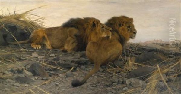 Spahende Lowen (lions At Watch) Oil Painting by Wilhelm Friedrich Kuhnert