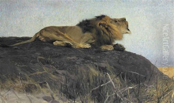 Brullender Lowe Oil Painting by Wilhelm Friedrich Kuhnert