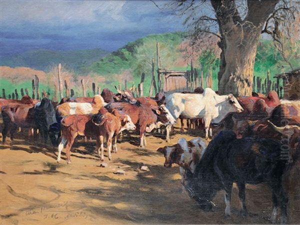 Drove Of Zebus Oil Painting by Wilhelm Friedrich Kuhnert