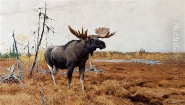 Moose Oil Painting by Wilhelm Friedrich Kuhnert