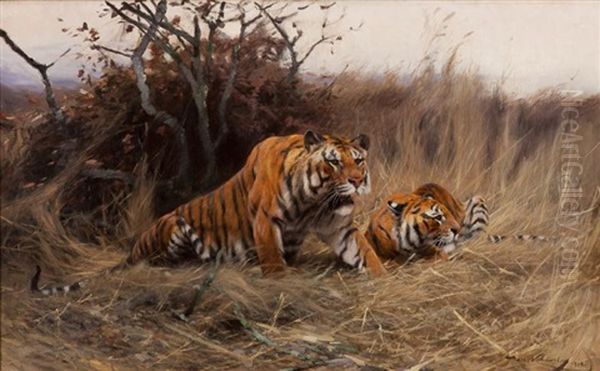 Roused, A Tiger And Tigress Oil Painting by Wilhelm Friedrich Kuhnert