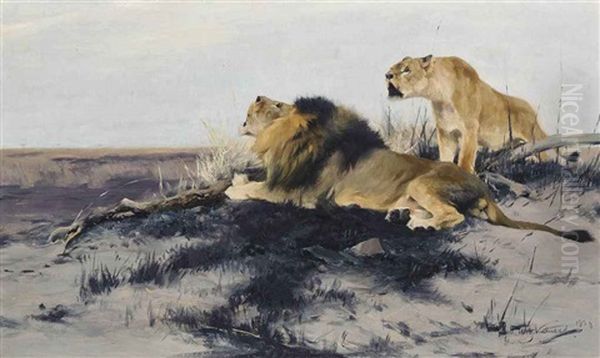 Roaring Lions Oil Painting by Wilhelm Friedrich Kuhnert