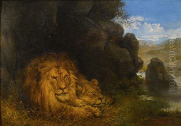 Two Lions In A Cave Oil Painting by Wilhelm Friedrich Kuhnert