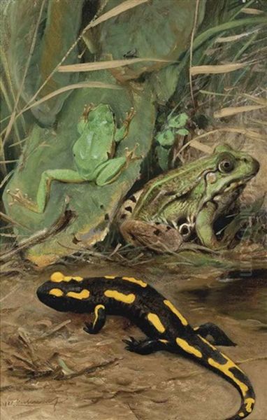 A Tree Frog, Water Frog And Fire Salamander Oil Painting by Wilhelm Friedrich Kuhnert