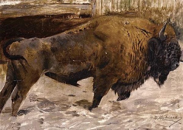 A Study Of A Buffalo Oil Painting by Wilhelm Friedrich Kuhnert