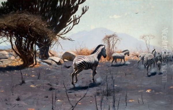 Zebras Oil Painting by Wilhelm Friedrich Kuhnert