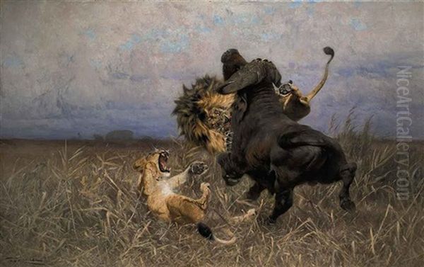 Lions In Combat With A Cape Buffalo Oil Painting by Wilhelm Friedrich Kuhnert