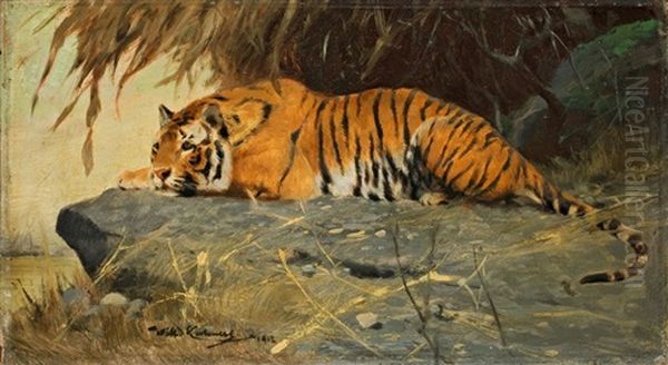 Auf Felsplateau Liegender Tiger Oil Painting by Wilhelm Friedrich Kuhnert