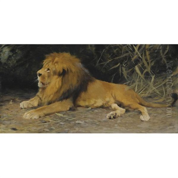 Lowe Im Versteck - Lion In His Den Oil Painting by Wilhelm Friedrich Kuhnert