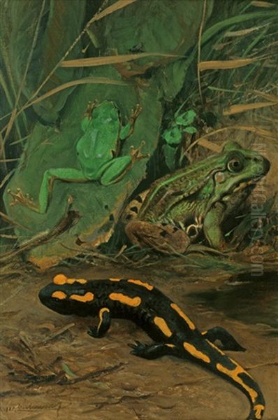 Laubfrosch, Wasserfrosch, Salamander Oil Painting by Wilhelm Friedrich Kuhnert