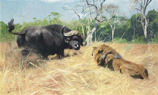 Buffalo And Lion Before The Fight Oil Painting by Wilhelm Friedrich Kuhnert