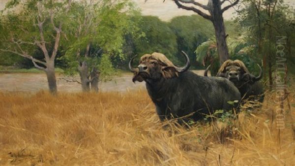 Deux Buffles Dans La Savane Oil Painting by Wilhelm Friedrich Kuhnert