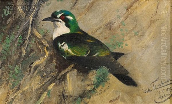 Perched Bird Oil Painting by Wilhelm Friedrich Kuhnert