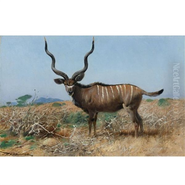 Antelope Oil Painting by Wilhelm Friedrich Kuhnert