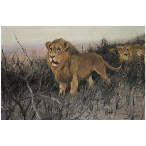 Lowen In Verbrannter Steppe (lions In A Burnt Steppe) Oil Painting by Wilhelm Friedrich Kuhnert