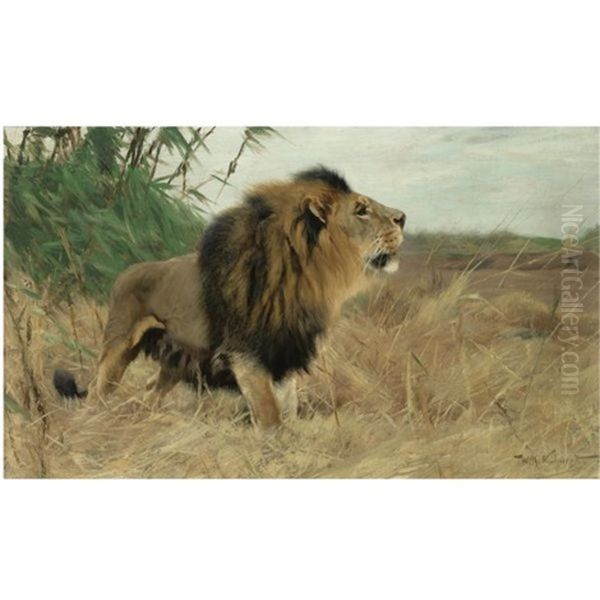 Beberlowe - Berber Lion (+ Sheet Of Pencil Sketches Of Lions, 2 Works) Oil Painting by Wilhelm Friedrich Kuhnert