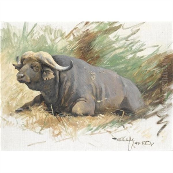 Studie Eines Kafferbuffels (study Of A Buffalo) Oil Painting by Wilhelm Friedrich Kuhnert