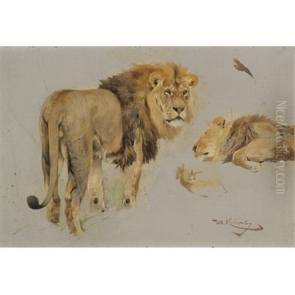 Lowenstudie (study Of Lions) Oil Painting by Wilhelm Friedrich Kuhnert