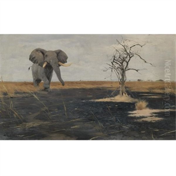 The Lone Elephant Oil Painting by Wilhelm Friedrich Kuhnert