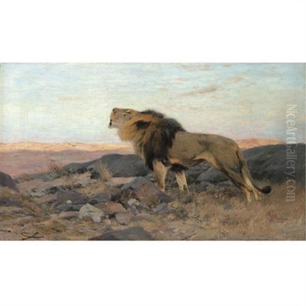 Brullender Lowe In Steiniger Steppe (a Roaring Lion) Oil Painting by Wilhelm Friedrich Kuhnert