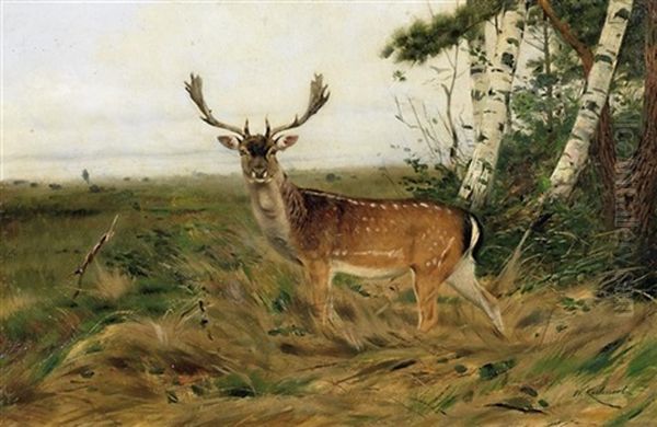 Dammhirsch Auf Einer Lichtung Oil Painting by Wilhelm Friedrich Kuhnert