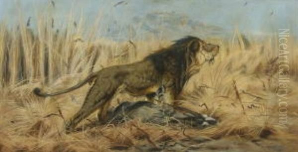 Lowe Mit Erbeuteter Gazelle Oil Painting by Wilhelm Friedrich Kuhnert