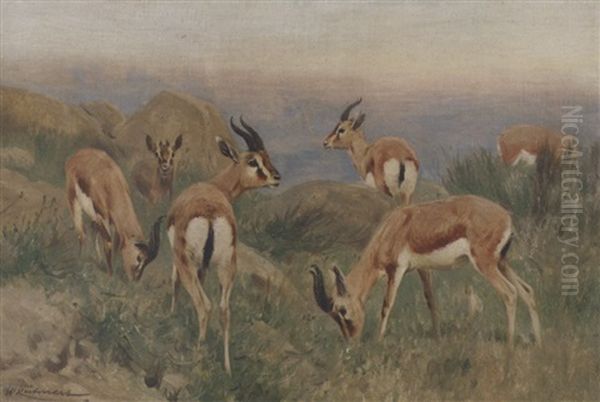 Gazella Dorca: Gazelles On A Hilltop Oil Painting by Wilhelm Friedrich Kuhnert