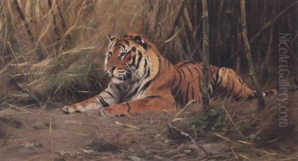 The Watchful Tiger Oil Painting by Wilhelm Friedrich Kuhnert