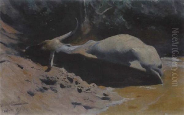 Sich Suhlender Wasserbuffel Oil Painting by Wilhelm Friedrich Kuhnert