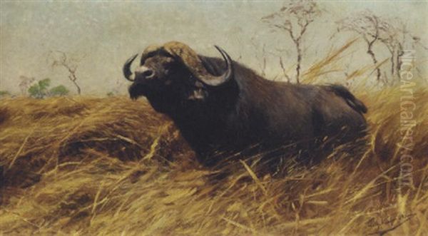 An African Buffalo Oil Painting by Wilhelm Friedrich Kuhnert