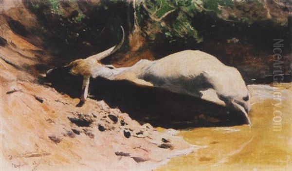 Liegender Wasserbuffel Oil Painting by Wilhelm Friedrich Kuhnert