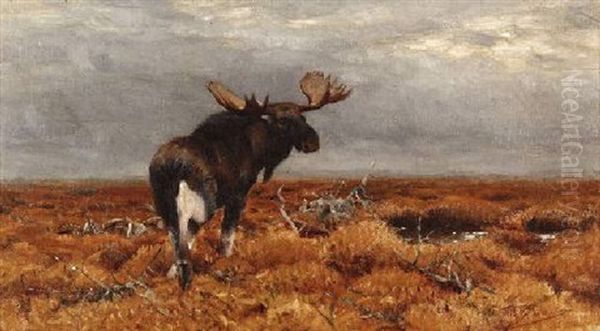 Elch Im Schwedischen Hochmoor Oil Painting by Wilhelm Friedrich Kuhnert