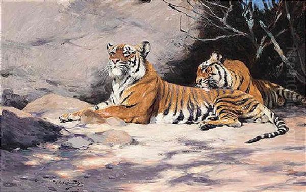 Ruhende Tiger Oil Painting by Wilhelm Friedrich Kuhnert