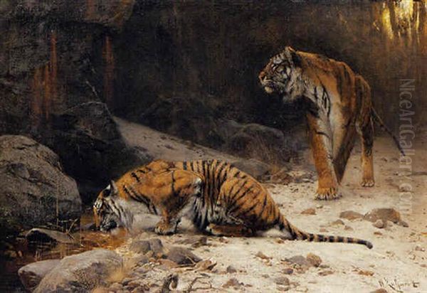 Tigers At A Drinking Pool Oil Painting by Wilhelm Friedrich Kuhnert