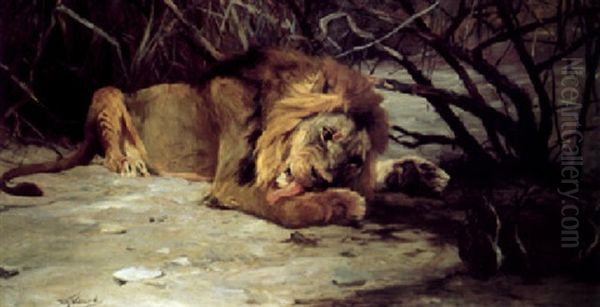 Lion Reclining In A Landscape Oil Painting by Wilhelm Friedrich Kuhnert