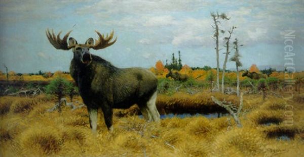 Elks In A Marsh Landscape Oil Painting by Wilhelm Friedrich Kuhnert