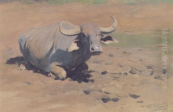 Buffalo Resting Oil Painting by Wilhelm Friedrich Kuhnert