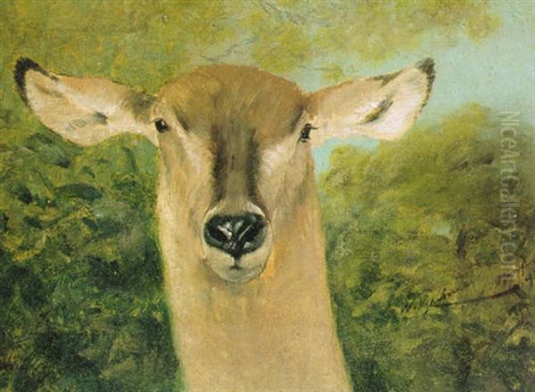 Head Of An Antelope Oil Painting by Wilhelm Friedrich Kuhnert